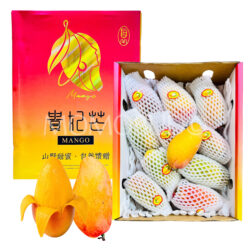 China Hainan Guifei Mango Gift Box (2kg)