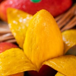 China Hainan Guifei Mango peeled