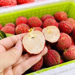 China Hainan Seedless Lychee cross section