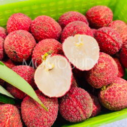 China Hainan Seedless Lychee cross section