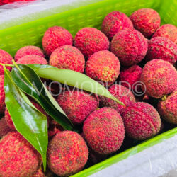 China Hainan Seedless Lychees