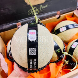 China Hainan Sunshine Arus Green Muskmelon