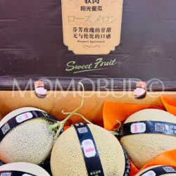 China Hainan Sunshine Arus Green Muskmelon Box (8.5kg approx)