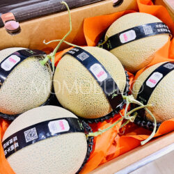 China Hainan Sunshine Arus Green Muskmelons