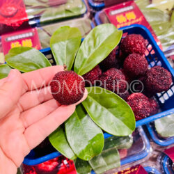 China Red Chinese BayBerries