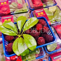 China Red Chinese BayBerry (300g punnet)