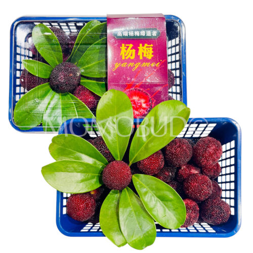 China Red Chinese BayBerry (300g punnet)