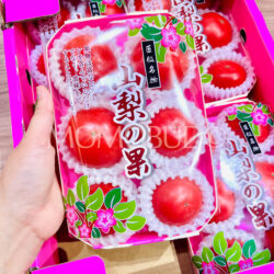 China Yamanashi Fruit Tomato 350gx4 punnet