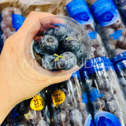 China Yunnan Mountain Super Jumbo Blueberries (22mm+)