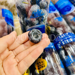 China Yunnan Mountain Super Jumbo Blueberry (22mm+)