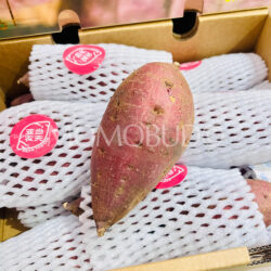 Hainan Golden Honey Sweet Potato Hainan Golden Honey Sweet Potato