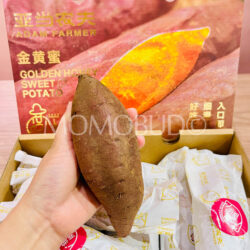 Hainan Golden Honey Sweet Potato on hand