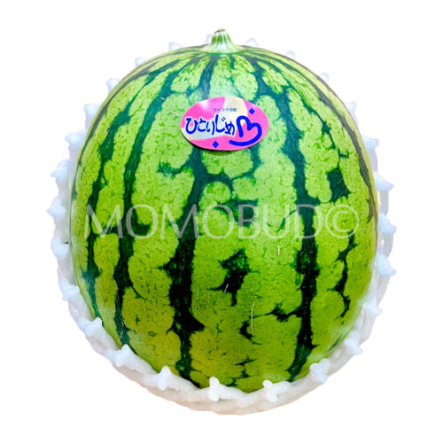 Japanese Kumamoto Hitorijime Watermelon Japanese Kumamoto Hitorijime Watermelon