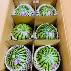 Japanese Kumamoto Hitorijime Watermelons Japanese Kumamoto Hitorijime Watermelons
