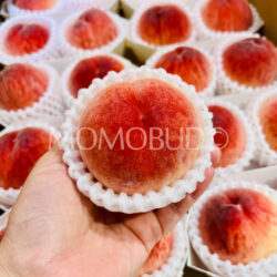 Japanese Yamanashi House Yumetouka White Peach