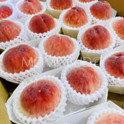 Japanese Yamanashi House Yumetouka White Peach (2pcs punnets, 300g)