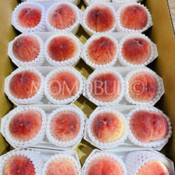 Japanese Yamanashi House Yumetouka White Peach (2pcs punnets, 300g)