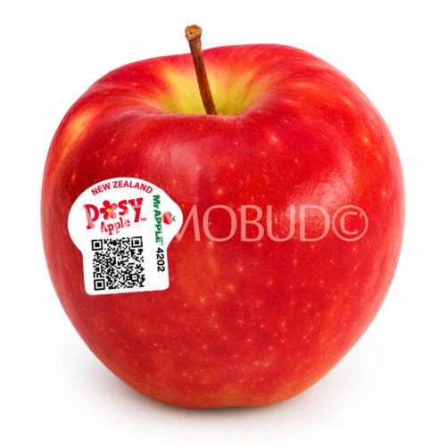 New Zealand Posy Apple