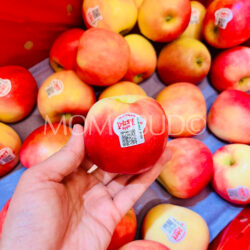 New Zealand Posy Apples