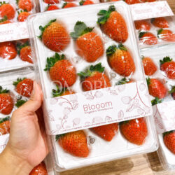 Singapore Blooom Rouge Strawberry (280g punnet) Singapore Blooom Rouge Strawberry (280g punnet)
