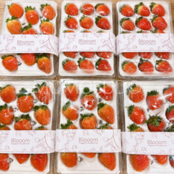 Singapore Blooom Rouge Strawberry (280g punnets) Singapore Blooom Rouge Strawberry (280g punnets)