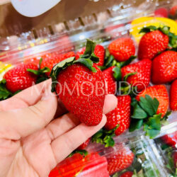 Yunnan Sweet Driscoll’s Strawberry