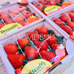 Yunnan Sweet Driscoll’s Strawberry (Large, 330gx2 punnets) Yunnan Sweet Driscoll’s Strawberry (Large, 330gx2 punnets)