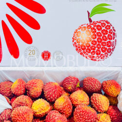 China Guangdong Lychee King Gift Box (3kg)
