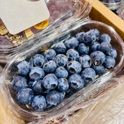 China Jumbo Blueberries (200g punnet) 18mm+