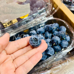 China Jumbo Blueberry 18mm+