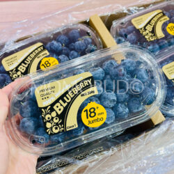 China Jumbo Blueberry (200g punnet) 18mm+ 1