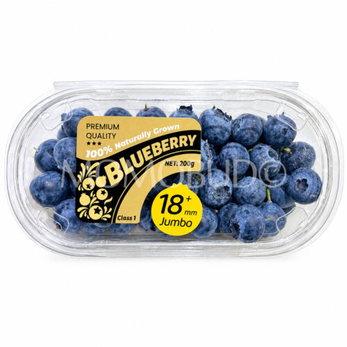 China Jumbo Blueberry (200g punnet) 18mm+