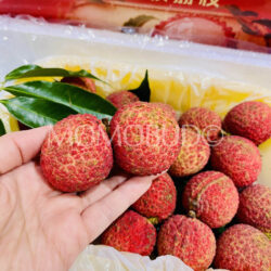 China Ludao Honggu Seedless Lychee