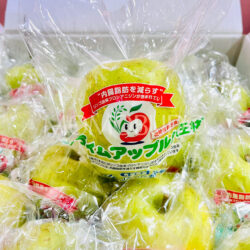 Premium Japanese Prime Apple! (Orin) 1