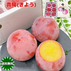 Japanese Fukuoka Yame Kiyou Plum Gift Box (1.2kg) 1