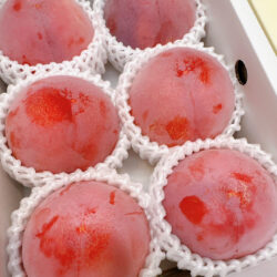 Japanese Fukuoka Yame Kiyou Plums