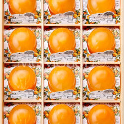 Kominami Farm Tamura Mikan (Mandarin Orange) Whole Fruit Jelly Gift Box (94gx12)