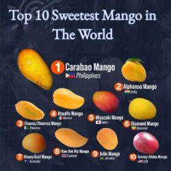 Mango sweetness ranking
