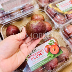 USA Kingsburg Strawberry Plum