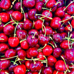Washington CMI Chelan Red Cherries