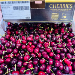 Washington Meda Rex Red Cherries 9 row Washington Meda Rex Red Cherries 9 row