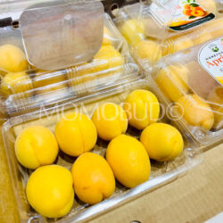 Armenia Honeycomb Apricots Armenia Honeycomb Apricots