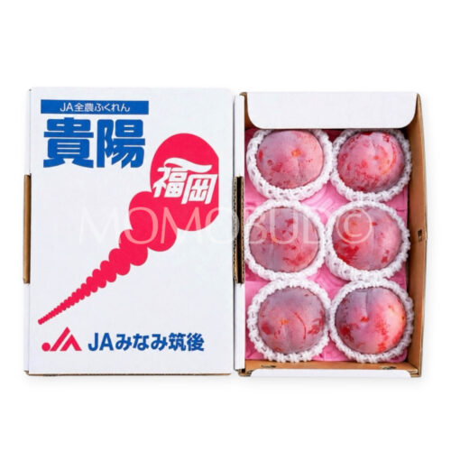 Japanese Fukuoka Kiyou Plum Gift Box (1kg) Japanese Fukuoka Kiyou Plum Gift Box (1kg)