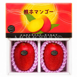 Japanese Kumamoto Kanjuku Mango Gift Box (900g, 2pcs)