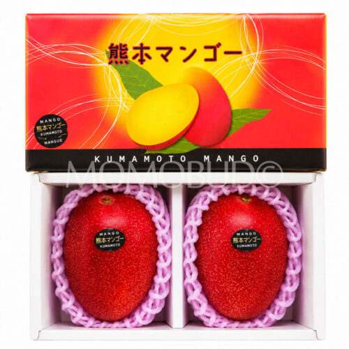 Japanese Kumamoto Kanjuku Mango Gift Box (900g, 2pcs)