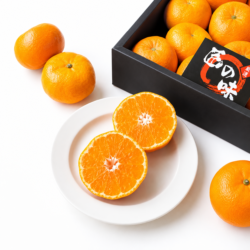 Japanese Nagasaki Takumi no Aji Mikan (Mandarin Orange) cross section