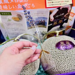 Japanese Premium Sakaguchi Furano Yamabe Houou Red Muskmelon Lavender stick Japanese Premium Sakaguchi Furano Yamabe Houou Red Muskmelon Lavender stick