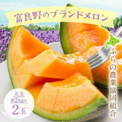 Japanese Premium Sakaguchi Houou Red Muskmelon slice Japanese Premium Sakaguchi Houou Red Muskmelon slice