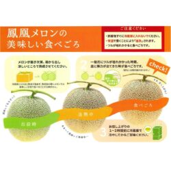 Melon Ripeness Indicator Melon Ripeness Indicator