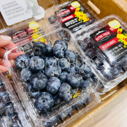 Peru Alphine Fresh Super Jumbo Blueberries